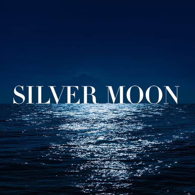 Silver Moon